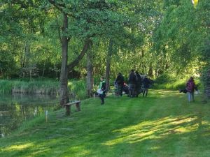 fb-img-1748515810160